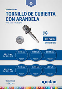 Tornillo de Cubierta con Arandela